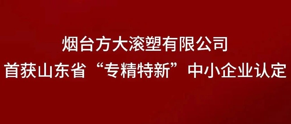 专精特新 丨破浪扬帆 万里可期